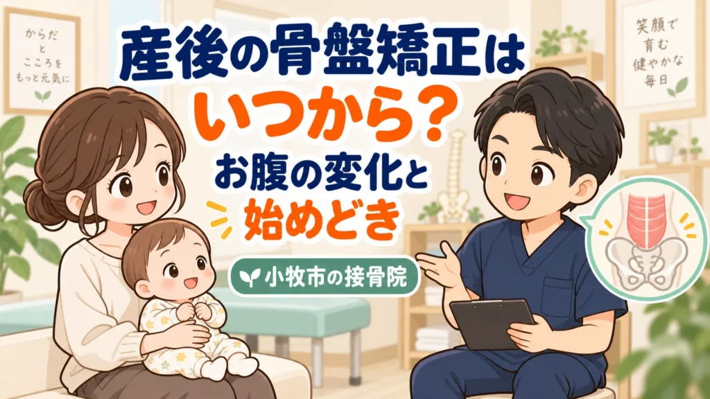産後の骨盤矯正はいつから？お腹の変化と始めどきのアイキャッチイラスト