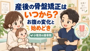 産後の骨盤矯正はいつから？お腹の変化と始めどきのアイキャッチイラスト